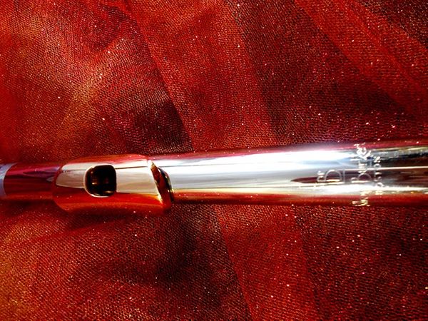 Burkart Professional Platinum #1000