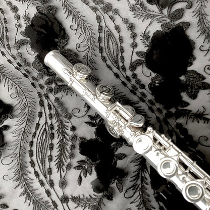 Haynes Professional #46179 Pre-Owned Flute