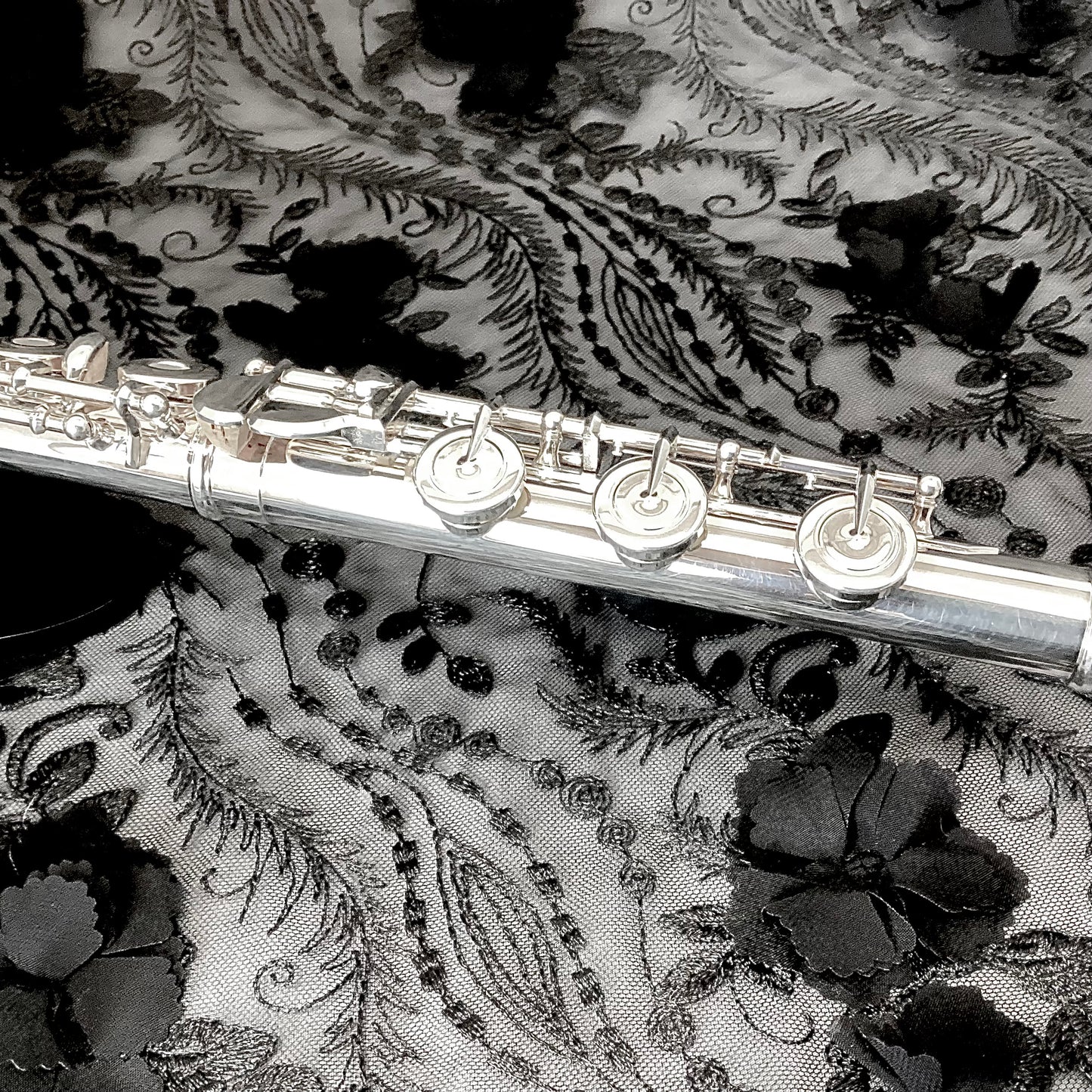 Trevor James Virtuoso #211022 Pre-Owned